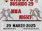 argea mixed martial art