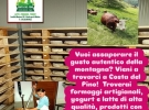 agricola costa del pino cogne