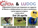 Ludog collegno