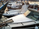 damiano