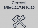 stefano
