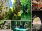 cilentonature