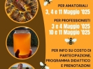 dimauromiele