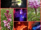 cilentonature