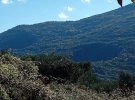 antonio ruggero
