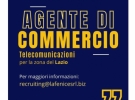 la fenice srl
