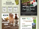 associazione agorà bagnara