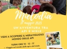 apicoltura melissa