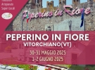 pro loco vitorchiano