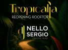 botanico roof and aperitive bar