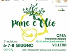 pane e olio velletri