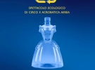 revole acrobatica aerea