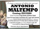 n. d'amico
