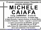 petraglia