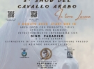 paternostro arabian diamond
