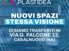 plastidea