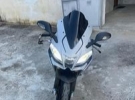 domenico