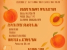 matibookeventi