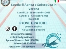 verona dives different