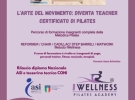 wellness pilates academy