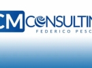 icm consulting