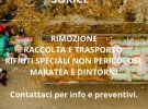 autotrasporti sorice