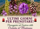 matibookeventi