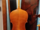nicolai