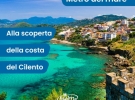 matibook infoweek 31/2026