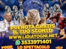 matibook infoweek 36/2026