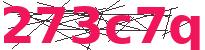 Codice di sicurezza